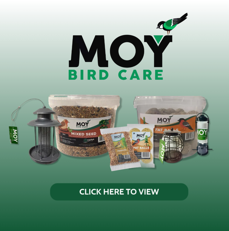 MOy Birdcare