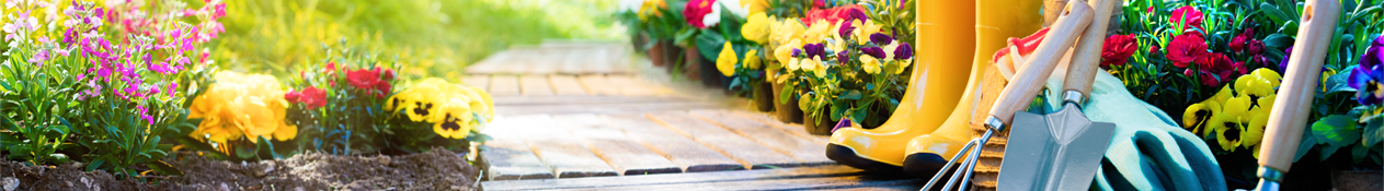 Gardening