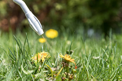Weed Killers & Blight Control