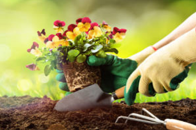Planting Tools
