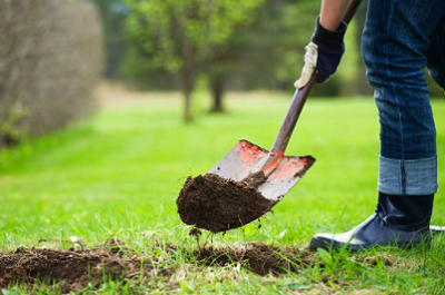 Shovels