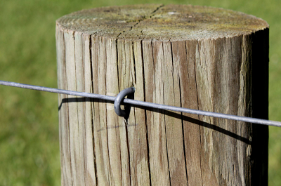 Fencing & Netting Staples