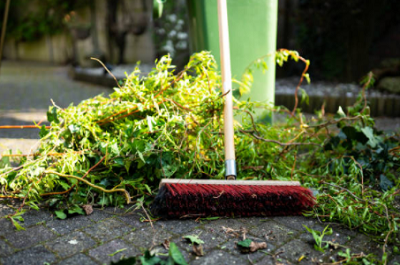 Outdoor Brushes