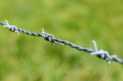 Barbed Wire