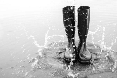 Wellingtons
