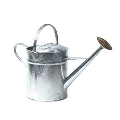 Galvanised Watering Cans 9Ltr