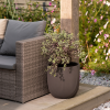 Pacific Planters Small Round 35cm(D) X 34.5cm(H)Cappuccino