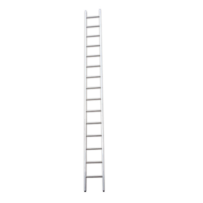 Single Ladder Aluminium 4m 14R
