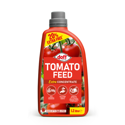 Doff Tomato Food Concentrate 1.2lt Extra Fill