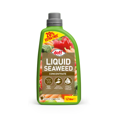 Doff Liquid Seaweed Concentrate 1.2lt Extra Fill